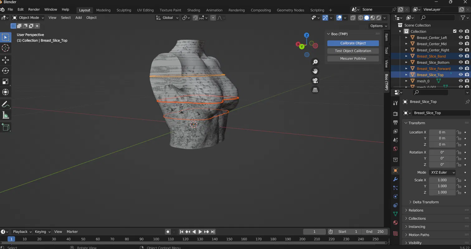 Interface de l'add-on Blender développé pour la calibration et la mesure automatique sur modèle 3D